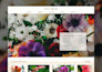 develop a custom webflow website or figma to webflow